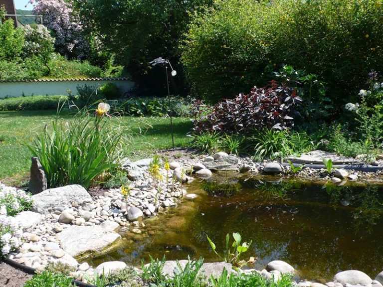 Teich anlegen im Garten mit Gartengestaltung Soeder